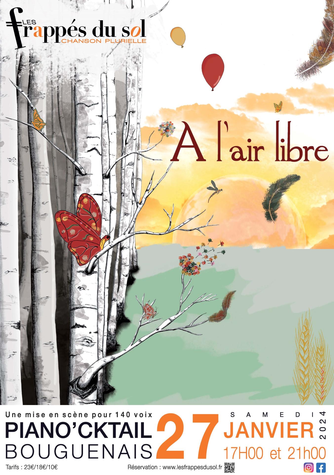 Affiche aal emonsite