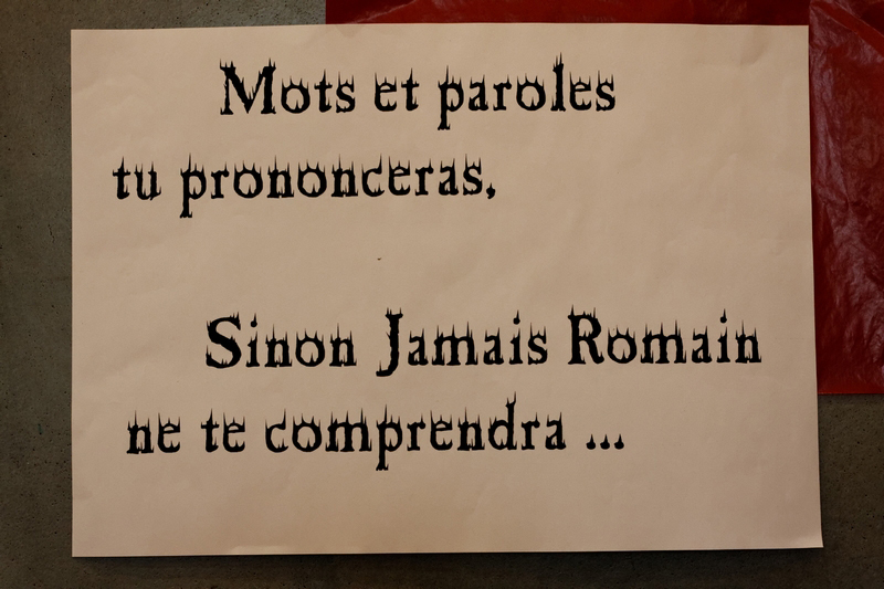 WE chantant Romain Didier-2 (165)